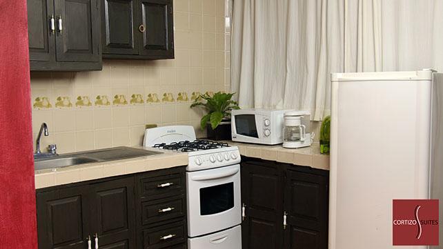 Cortizo Suites San Miguel de Allende Eksteriør billede